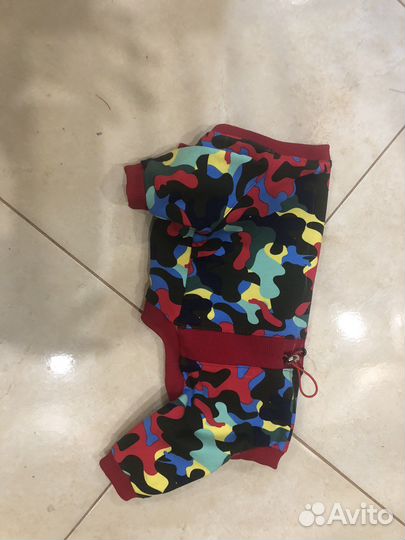 Одежда для собак