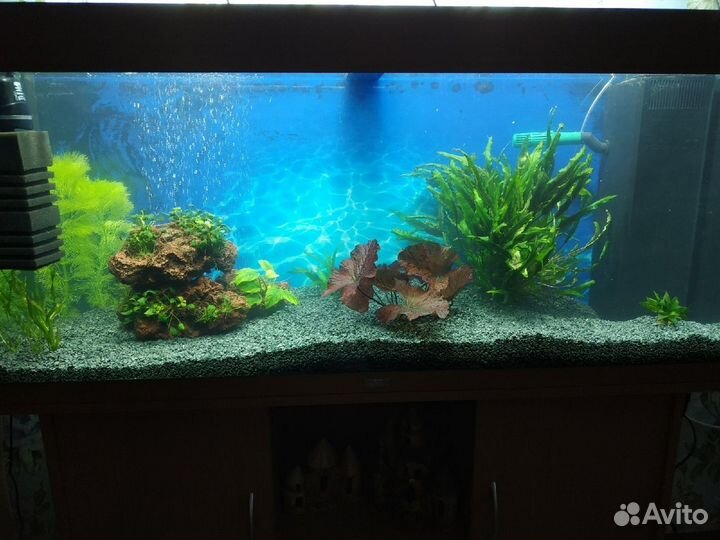 Грунт для аквариума Габбро-диабаз