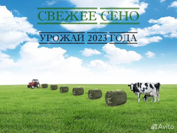Продажа сена в рулонах