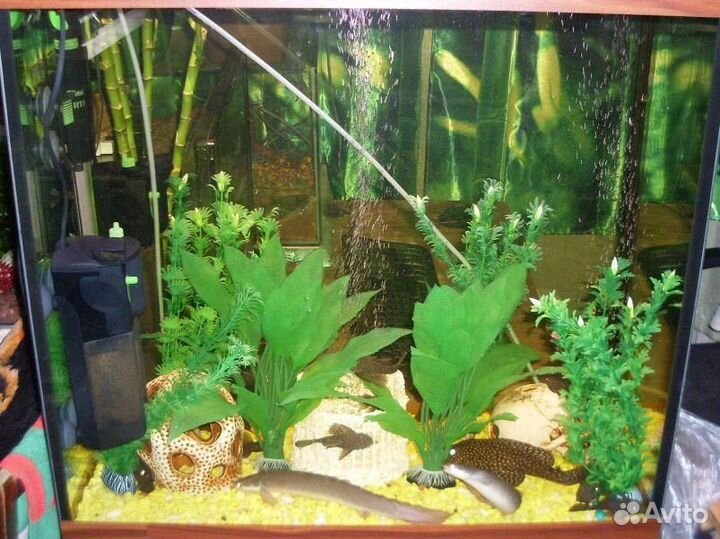 Чистка аквариума