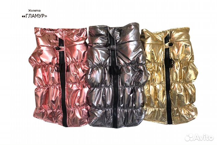 Одежда для собак