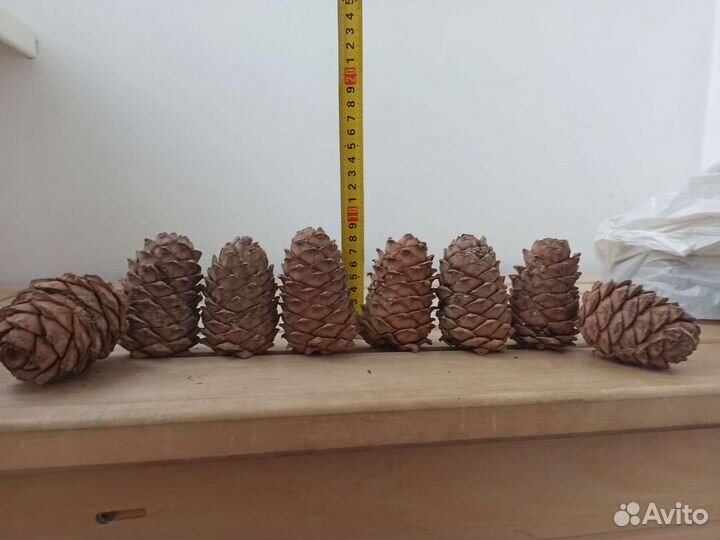 Шишки кедровые (отборные)