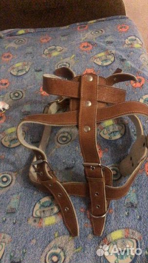 Шлейка для большой собаки натуральная кожа