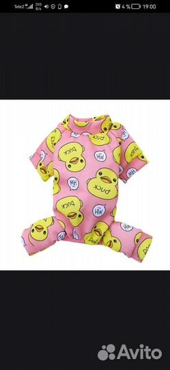 Одежда для кошки, для собаки