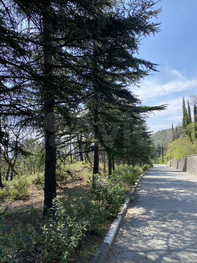 Участок 5 сот. (ИЖС)