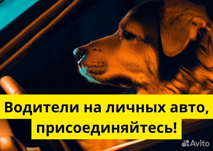 Водитель на личном авто в Яндекс.Go