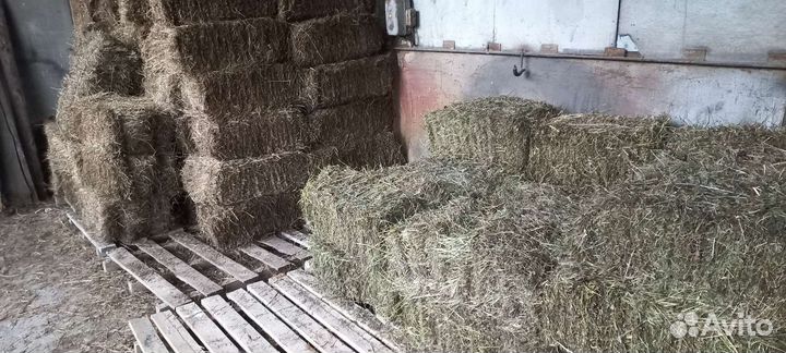 Сено в брикетах тюках 2023