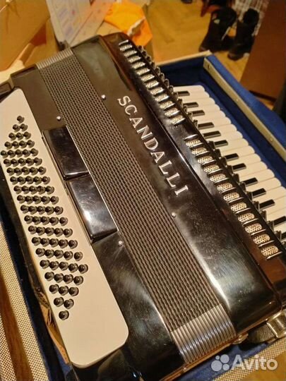 Аккордеон scandalli
