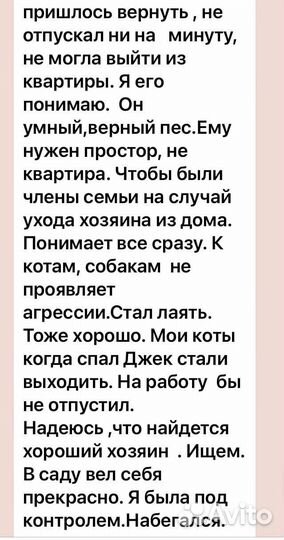 Пес Бруно ждет своих родителей