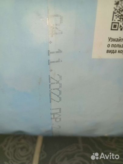 Корм для котят Карми Мэйнкун 10 кг