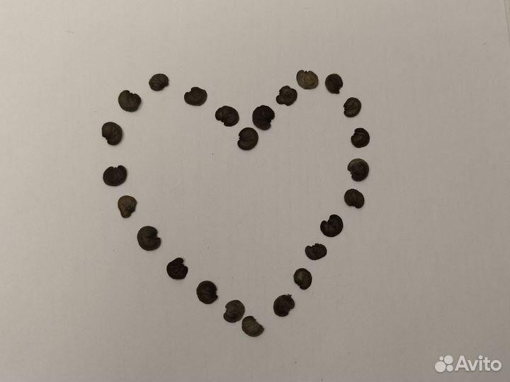 Лунария семена