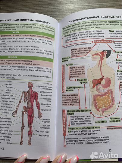Шпора по биологии