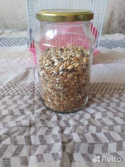 Клетка для грызунов бу