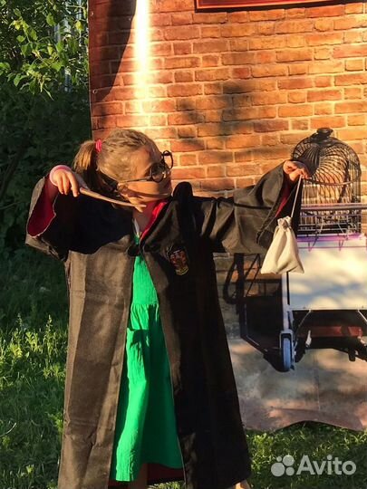 Баннер, галстук Гарри Поттер