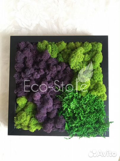 Картина из мха микс фиолетовый 30x30 см