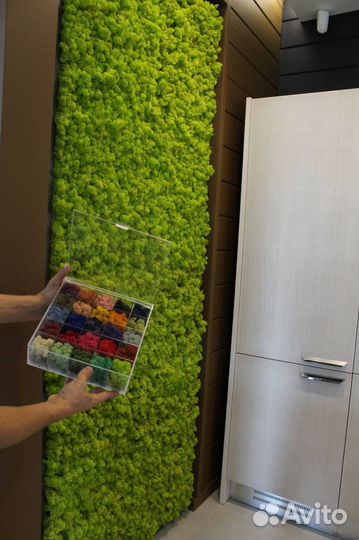 Панно из стабилизированного мха