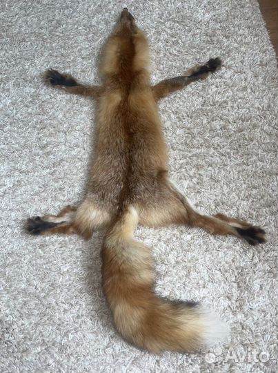 Шкура лисы
