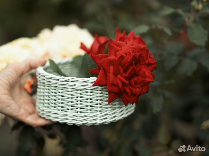 Плетеные корзинки