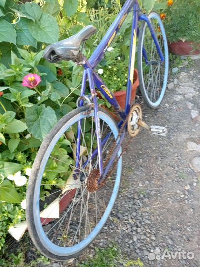 Велосипед для взрослых