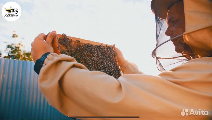 Мед натуральный со своей пасеки