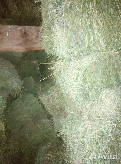 Продаю сено