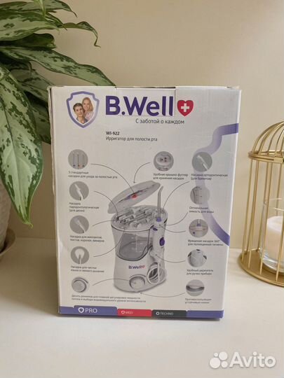 Новый Ирригатор b.well wl-922