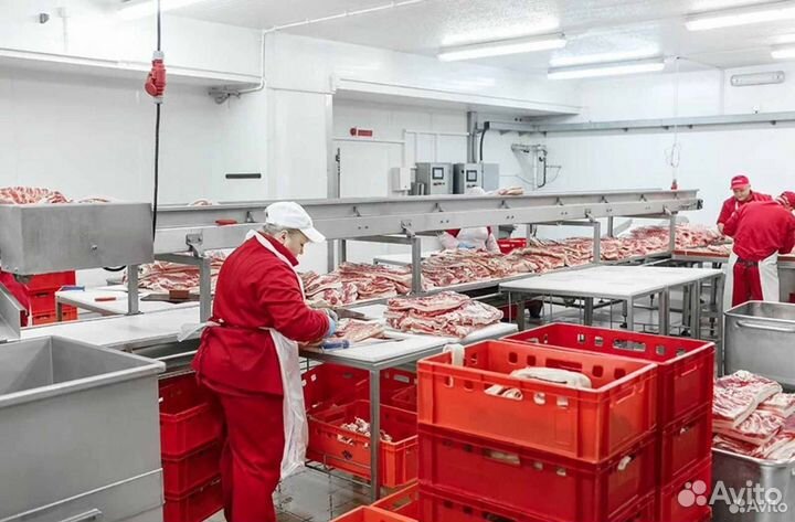 Ищу займ в готовый бизнес, доход 21347 в месяц