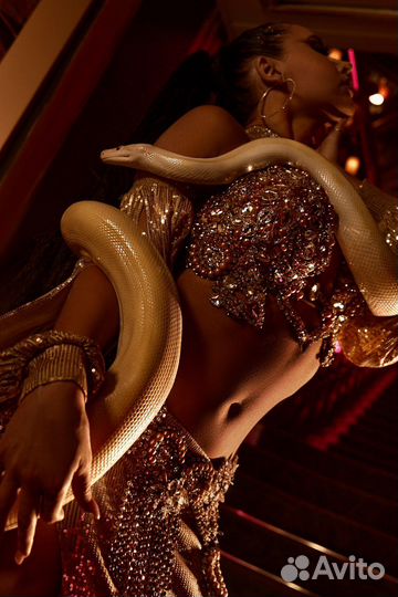 Танец живота, восточные танцы, танец со змеей