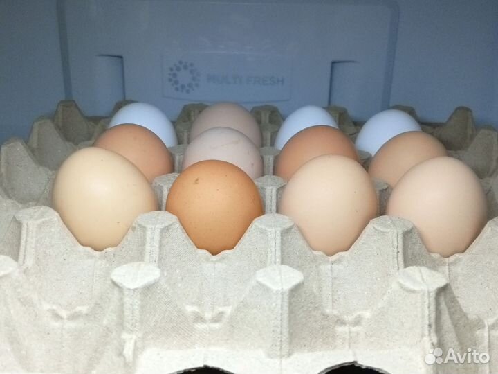 Домашние куриные яйца
