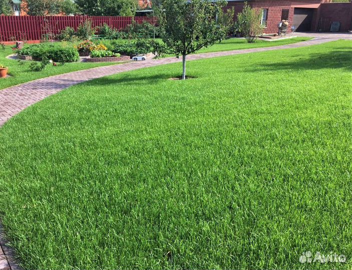 Газон универсальный / Владимир