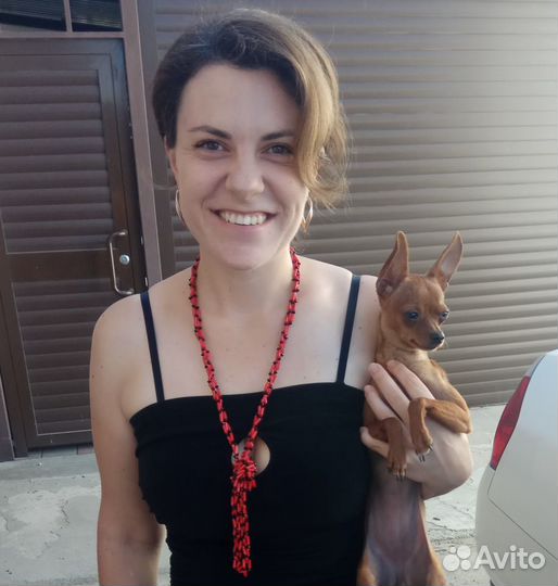 Создаю сайты. В топ 20 за 2 недели