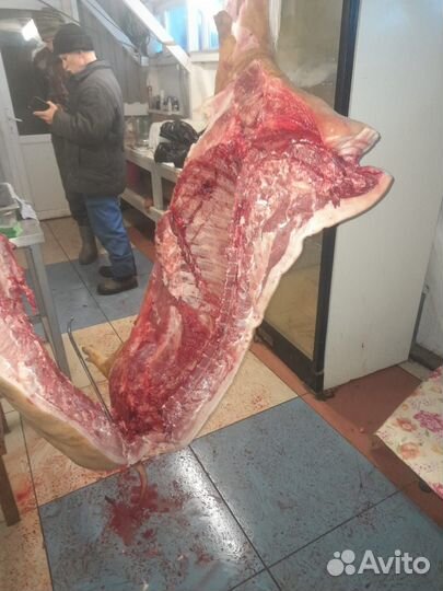 Мясо свинина домашняя