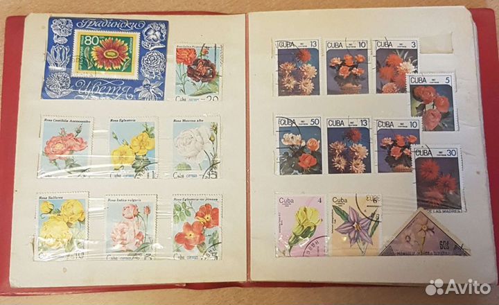 Альбомы с марками (2 альбома )