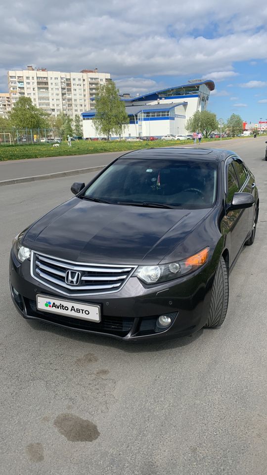 Honda Accord: фото владельца