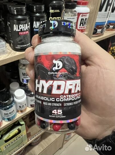 Hydra/Гидра
