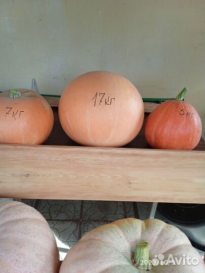 Продукты питания