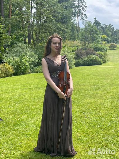 Скрипка на праздник