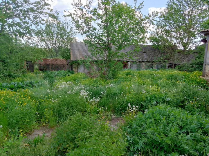 Дом 48 м² на участке 50 сот.