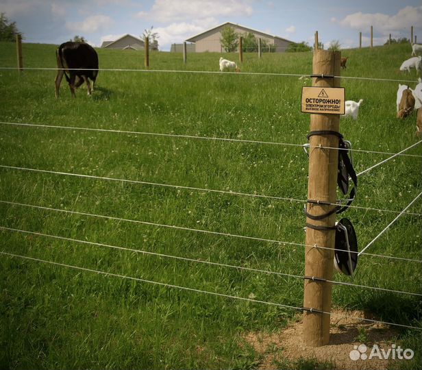 Электро-пастух для крс