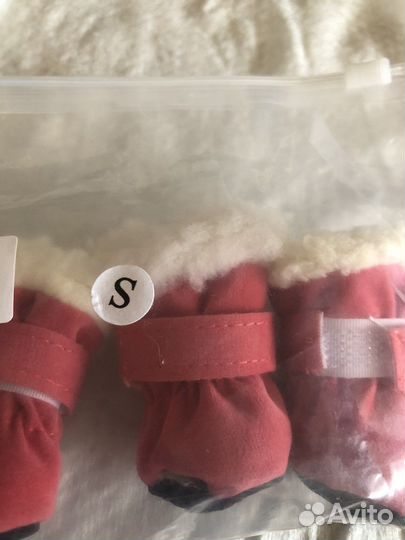 Ботиночки для маленькой собачки