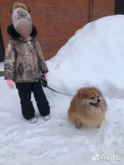 Куртка детская зимняя для девочки