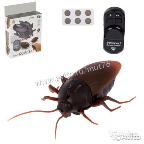 Жук р/у 