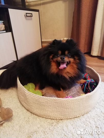 Лежак для собаки маленьких пород