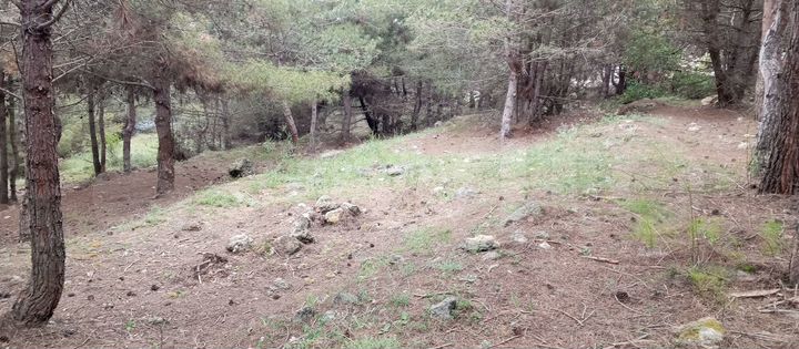 Участок 9,2 сот. (ИЖС)