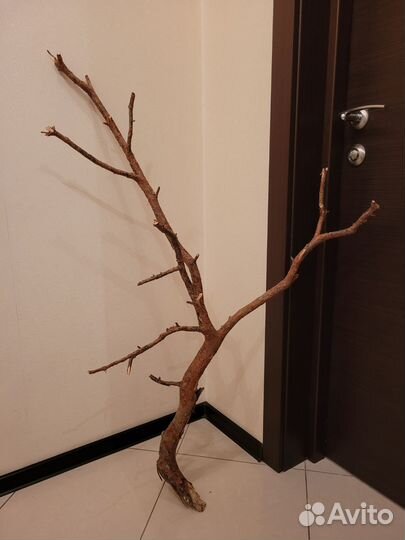 Коряги для интерьера и декора из натуральной сосны