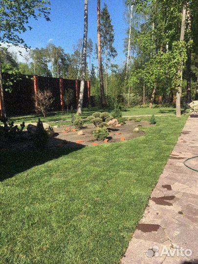 Укладка и продажа газона элитный