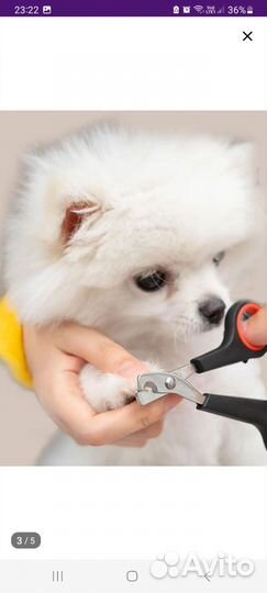 Когтерезка для кошек и собак