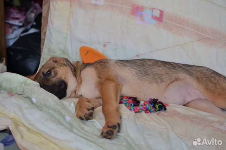 Очаровательная Ника ждет свою семью