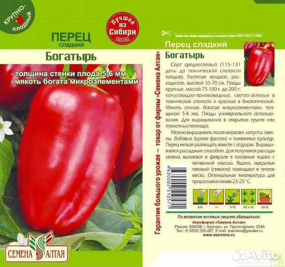 Рассада болгарского перца,томатов и томатов черри