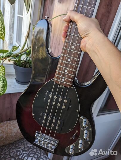 Бас гитара мужик мен